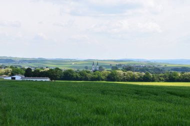 Maifeld, Eifel 'de yeşil tarlası ve mavi gökyüzü olan güzel bir manzara.
