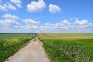 Kırsal yol mavi gökyüzü ile tarlalar arasında
