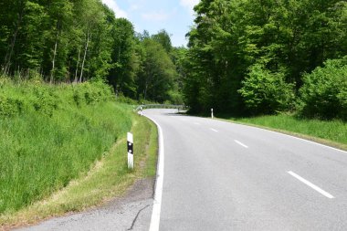 Asfalt yol ve yeşil ağaçlar