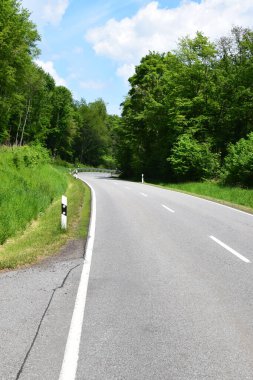 Dağın yamacında asfalt yol ve ağaçlar