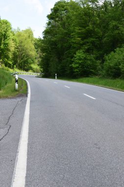 Ormanda boş asfalt yol