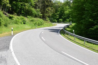 Ormanda virajlı bir yol