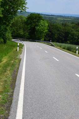 Ormandaki dağ yolunda.