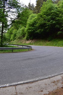 Ormanda boş asfalt yol