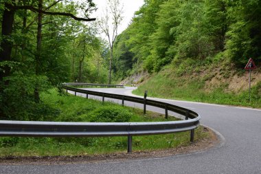 Ormanda yol dağlarda