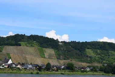 Ren Vadisi üzüm bağı tepeleri