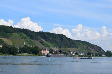 Ren 'deki üzüm bağı tepeleri.