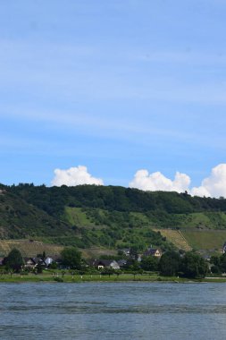 Leutesdorf 'taki üzüm bağlarıyla Ren nehri manzarası