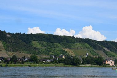 Ren 'de sarp üzüm bağları