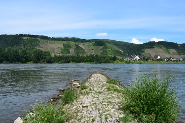 Mavi gökyüzü ve yeşil ağaçları olan nehir manzarası