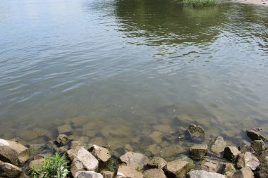 Yazın bir nehirde ışık dalgaları