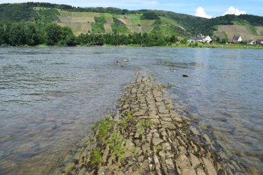 Ren nehrinin taştan bir yolu var.