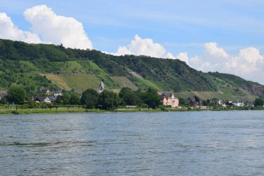Leutesdorf ve üzüm bağlarıyla Ren.