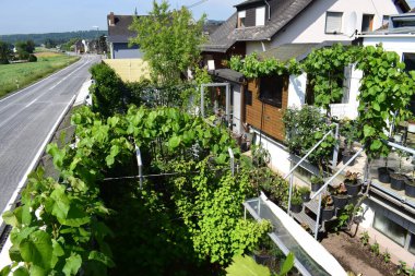 Şehirdeki güzel bahçe.