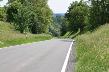Bir nehir vadisine doğru dik bir yol, yanında ağaçlar var.