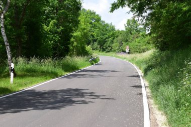 Tek şeritli yeşil ağaçlı bir yol.