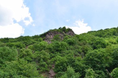 Ormanın yukarısındaki engebeli uçurum