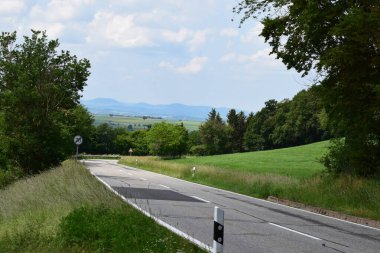 Yol ve ormandaki yeşil tarlalar
