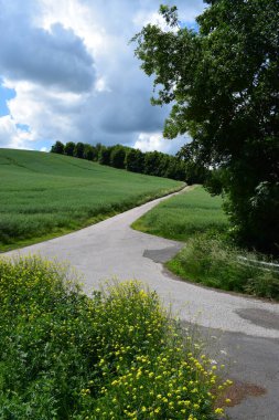 Arazinin ortasında yol mavi gökyüzünün altında yeşilliklerle çevrili.