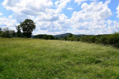 Mavi gökyüzü ve çimenlerin arasından görülebilen fırtınalı güzel bir manzara.