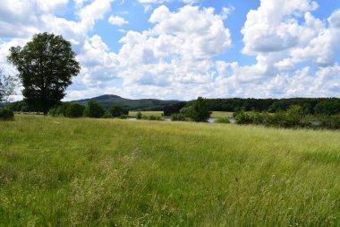 Yazın Eifel manzarası