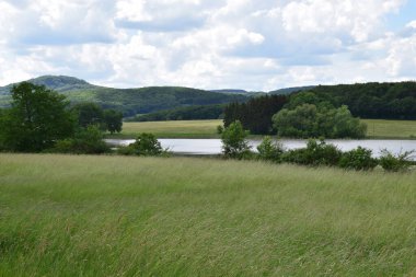 Almanya 'nın Rodder Maar çevresindeki yeşil otlağın güzel bir görüntüsü.