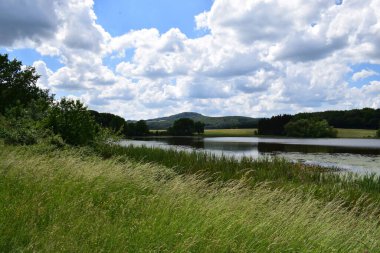Caldera Gölü Rodder Maar Eifel kırsalında