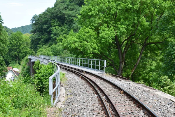 Ormanın üzerindeki demiryolu köprüsü.