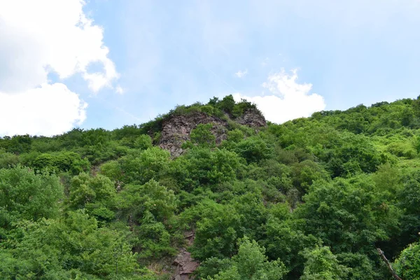Ormanın yukarısındaki engebeli uçurum
