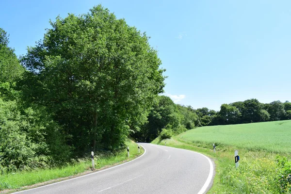 Kırsalda bir yol, arka planda bir ağaç ve mavi bir gökyüzü.