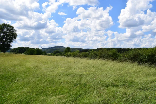 Fırtınada çayırlar