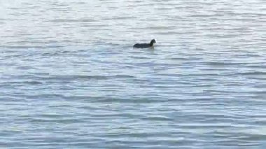 Kuzey Fransa 'da eski bir savunma gölü.