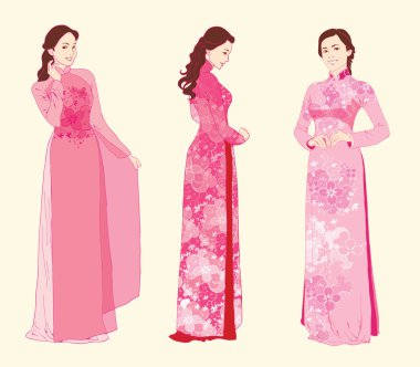 Ao Dai giyen vektör çağdaş Vietnamca kadın.