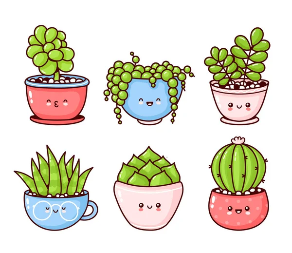 Lindo feliz divertido suculentas plantas conjunto colección — Vector de stock