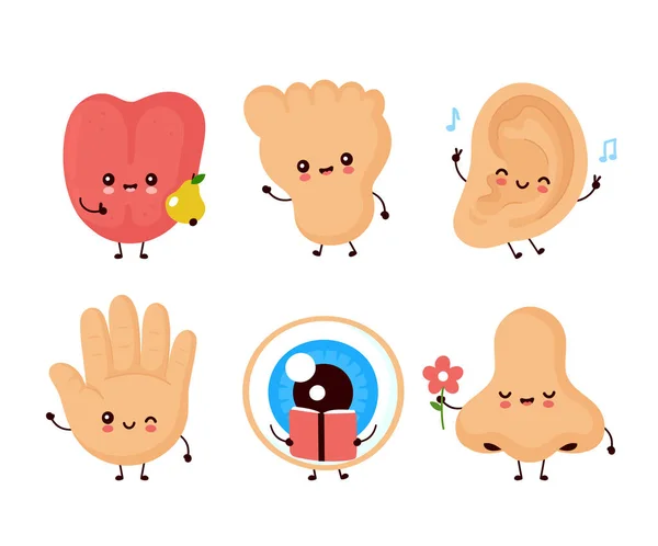 Cute happy human senses organ set — Stock Vector