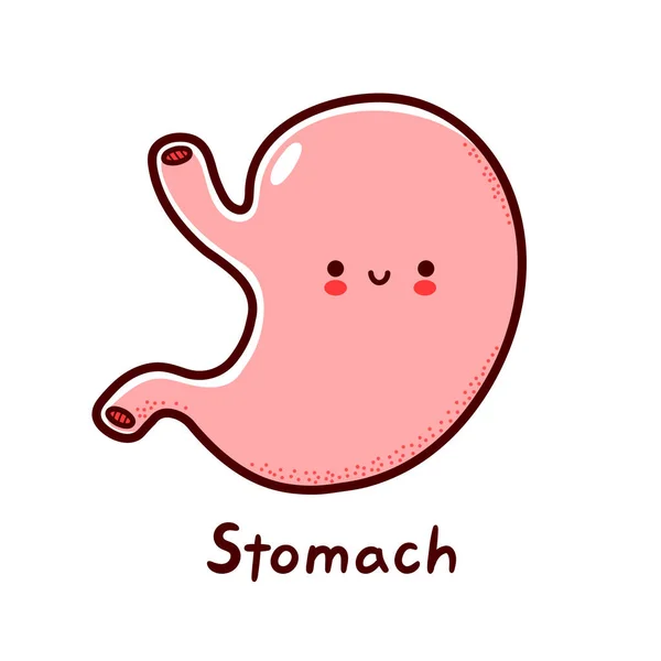 Cute happy funny human stomach organ character. Vector flat line cartoon kawaii character illustration icon. Isolated on white background. Stomach with face character mascot concept — Stock Vector