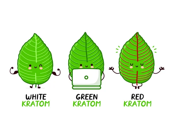 Cepas rojas, verdes y blancas de kratom. Linda colección de caracteres de hoja de kratom divertido conjunto. Icono de ilustración de personaje kawaii de línea plana vectorial. Aislado sobre fondo blanco — Archivo Imágenes Vectoriales