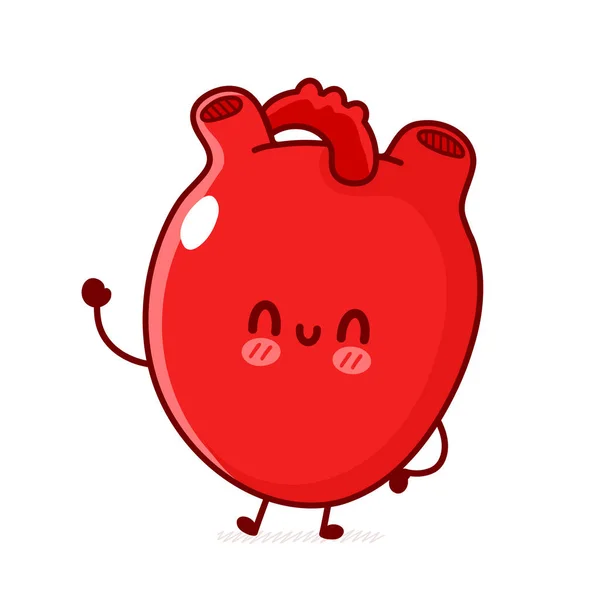 かわいい面白い人間の心臓の器官。ベクトルフラットラインドア漫画カワイイキャラクターイラストロゴアイコン。白い背景に隔離されている。人間の心臓器官解剖学漫画マスコットキャラクターコンセプト — ストックベクタ