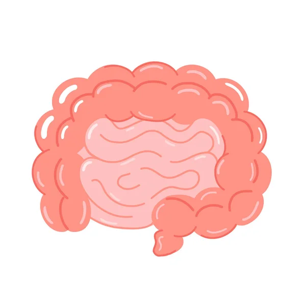 Lindo órgano intestinal. Icono del vector — Vector de stock