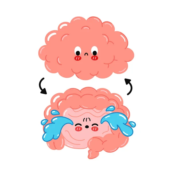 Engraçado engraçado intestino humano triste, cérebro connection.Vector desenho animado kawaii personagem ilustração icon.Isolated no fundo branco.Cérebro, intestino parceiros problema, nervo desenho animado doodle personagem conceito —  Vetores de Stock