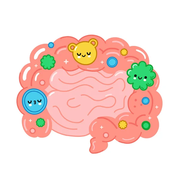 Órgano intestinal sano con buenas bacterias, microflora. Vector dibujado a mano ilustración de dibujos animados. Aislado sobre fondo blanco. Intestino, microflora, concepto de carácter probiótico — Archivo Imágenes Vectoriales