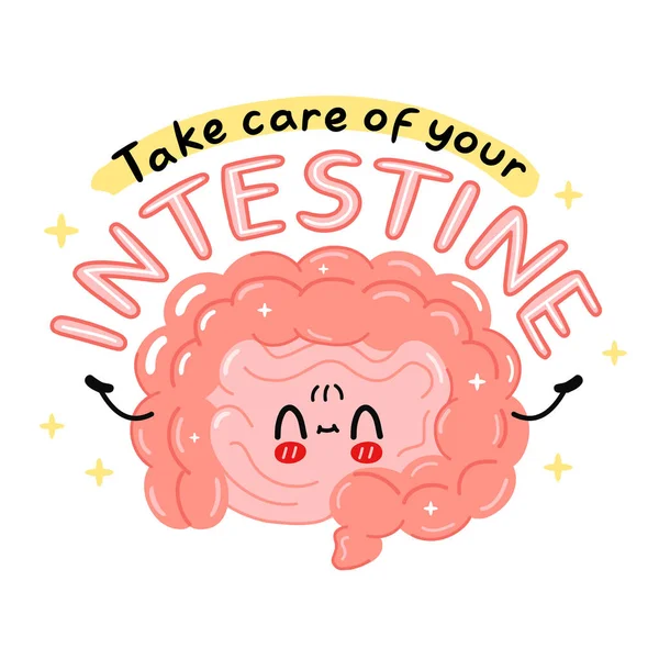 Personagem engraçado bonito órgão do intestino. Cuide do seu slogan de citação do intestino. Ícone de ilustração de personagem de kawaii de desenho animado vetorial. Isolado em fundo branco. Órgão humano, conceito de personagem de desenho animado —  Vetores de Stock