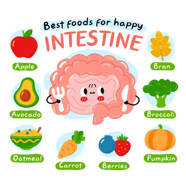 Melhores alimentos para cartaz de infográfico interstine feliz. Caráter de órgão do intestino bonito. Ícone de ilustração de personagem de kawaii de desenho animado vetorial. Isolado em fundo branco. Nutrição, conceito de dieta saudável — Vetor de Stock