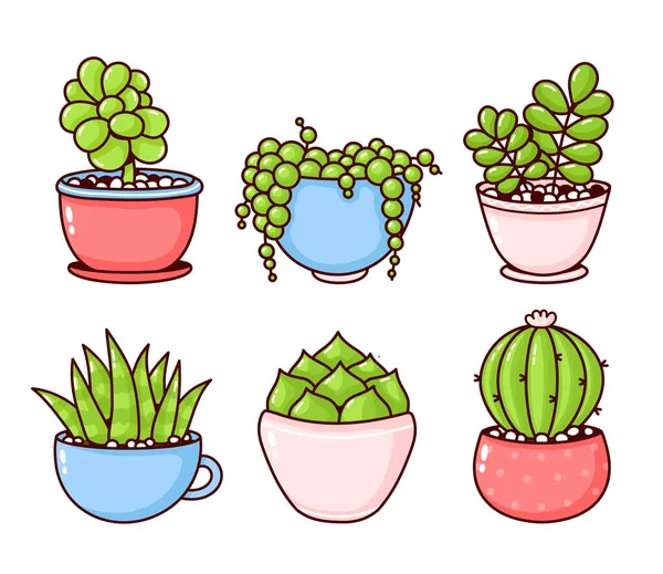 Suculentas e plantas de cacto coleção set. Desenho de ícone de ilustração de desenho animado plano vetorial. Suculentas, plantas de cacto adesivos conceito bundle. Isolado sobre fundo branco —  Vetores de Stock