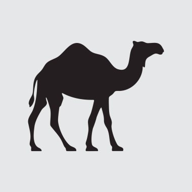 Açık gri arka planda duran dromedary devenin silueti