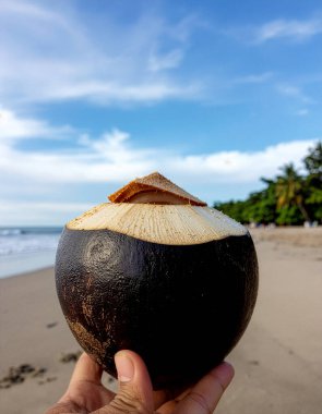 Sahilde taze palmira meyvesi, okyanus ve kum arka planlı.