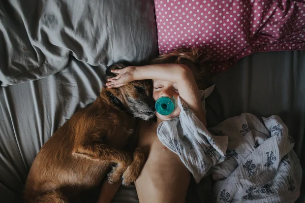 Niño abrazándose en la cama con su perro — Foto de Stock