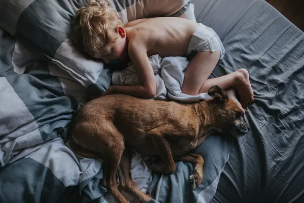 Niño abrazándose en la cama con su perro — Foto de Stock