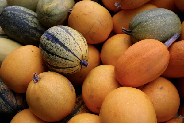 Turuncu, sarı ve yeşil renkli balkabakları kırsal bir pazarda sergilenmektedir. Sonbahar, sonbahar, Şükran Günü, Cadılar Bayramı ve mevsimsel hasat tasarımları için mükemmeldir..