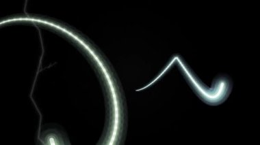 Nematode solucanı mikroskobik detaylarla ince ve kıvrımlı vücut yapısını göstererek büyütme altında sergilenir..